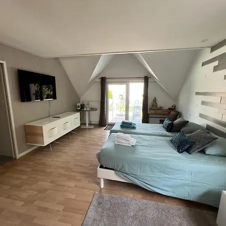 Executive Luxe Et Confort Pour Vos Sejours Schweighouse-sur-Moder